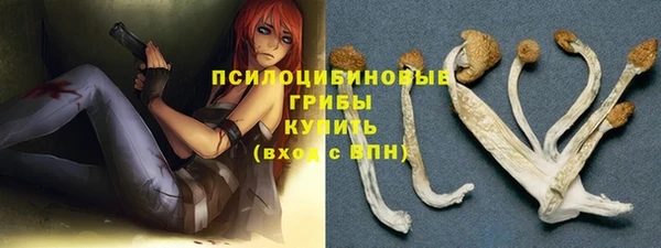 таблы Алзамай