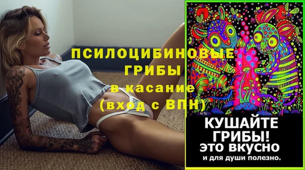 таблы Алзамай
